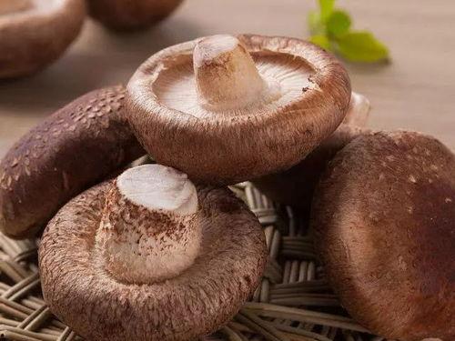 吃瓜网曝揭秘黑料蘑菇视频,蘑菇视频背后的惊人黑料