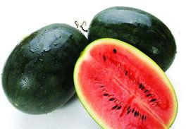 911爆料网吃瓜黑料蘑菇