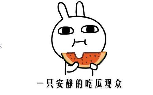 吃瓜黑料最,吃瓜黑料背后的真相与反思